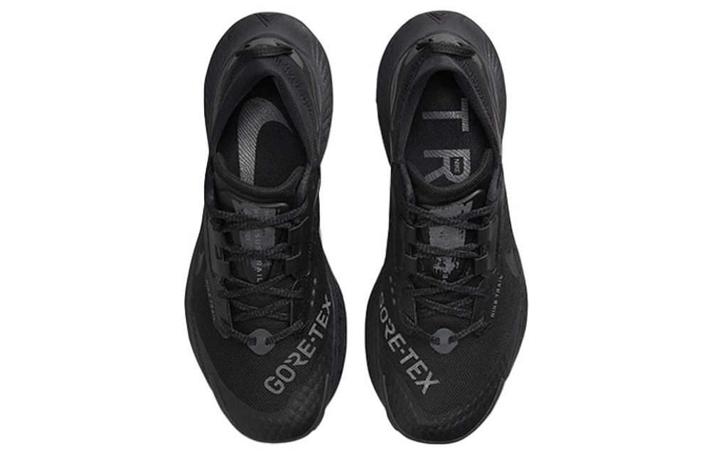 Кроссовки Nike Pegasus Trail 3 Gtx (Женская размерная сетка)