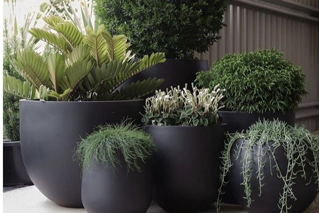 Наши услуги: