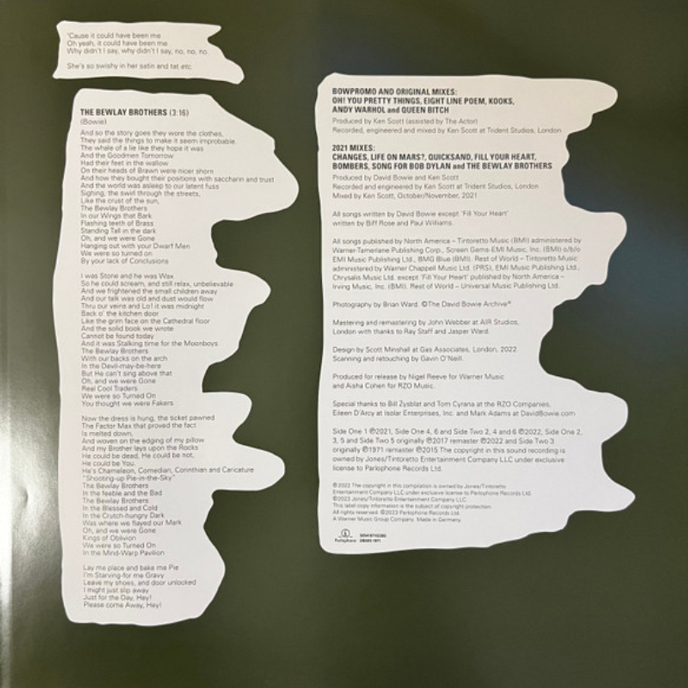 David Bowie / A Divine Symmetry (An Alternative Journey Through Hunky Dory)(LP)