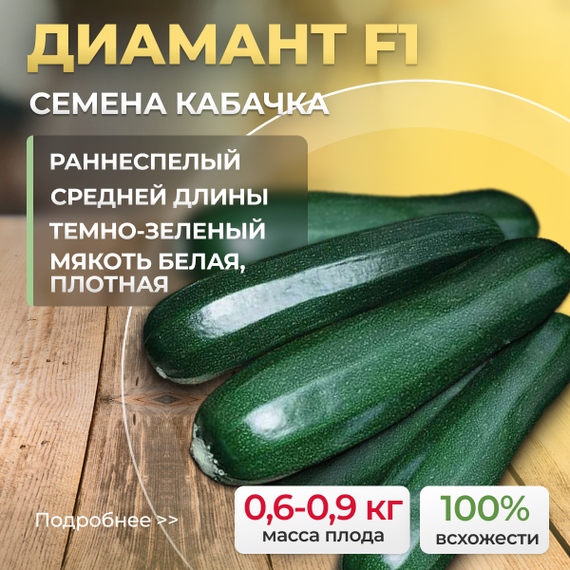 ДИАМАНТ_F1_семена_кабачка_Seminis_купить_семинис – фото 2