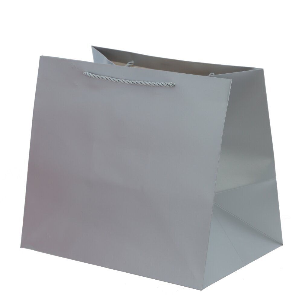 GAEM Пакет подарочный (бумага 230г/м2, блок 12шт), L28 W20 H25 см, 5в.