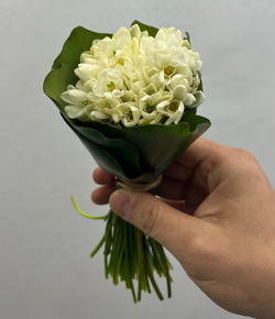 подснежники