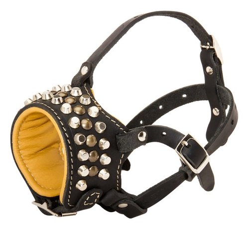 Дизайнерский намордник "Luxury" М62##001