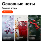 Зимние ягоды