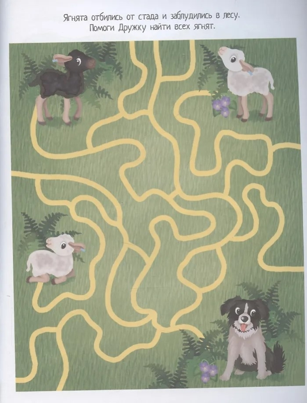 Книжка с наклейками формат А4.Прогулка на ферму. 70 наклеек., изд.: Айрис, авт.: Барсотти Э., серия.: Книжки с наклейками