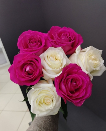 7 роз в упаковке