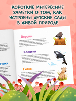 Книжки-картинки. Детский сад для зверят