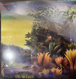 Виниловая пластинка Fleetwood Mac – Tango In The Night LP