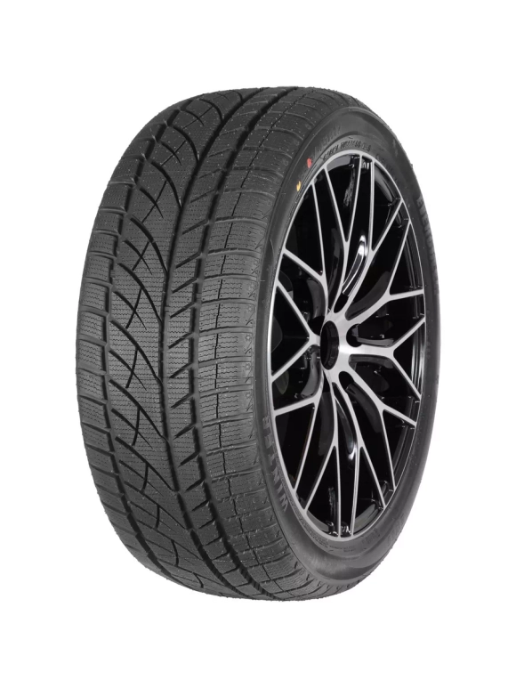 Зимняя шина Evergreen EW66 (255/50 R19 107H)