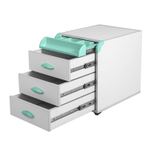 Тумба Дэми на колёсиках с 3 ящиками и органайзером для канцелярии (ТУВ.06)