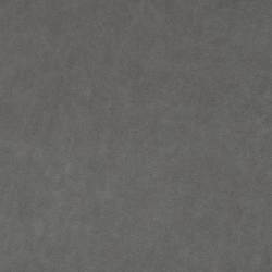 Микровелюр Бэст 30