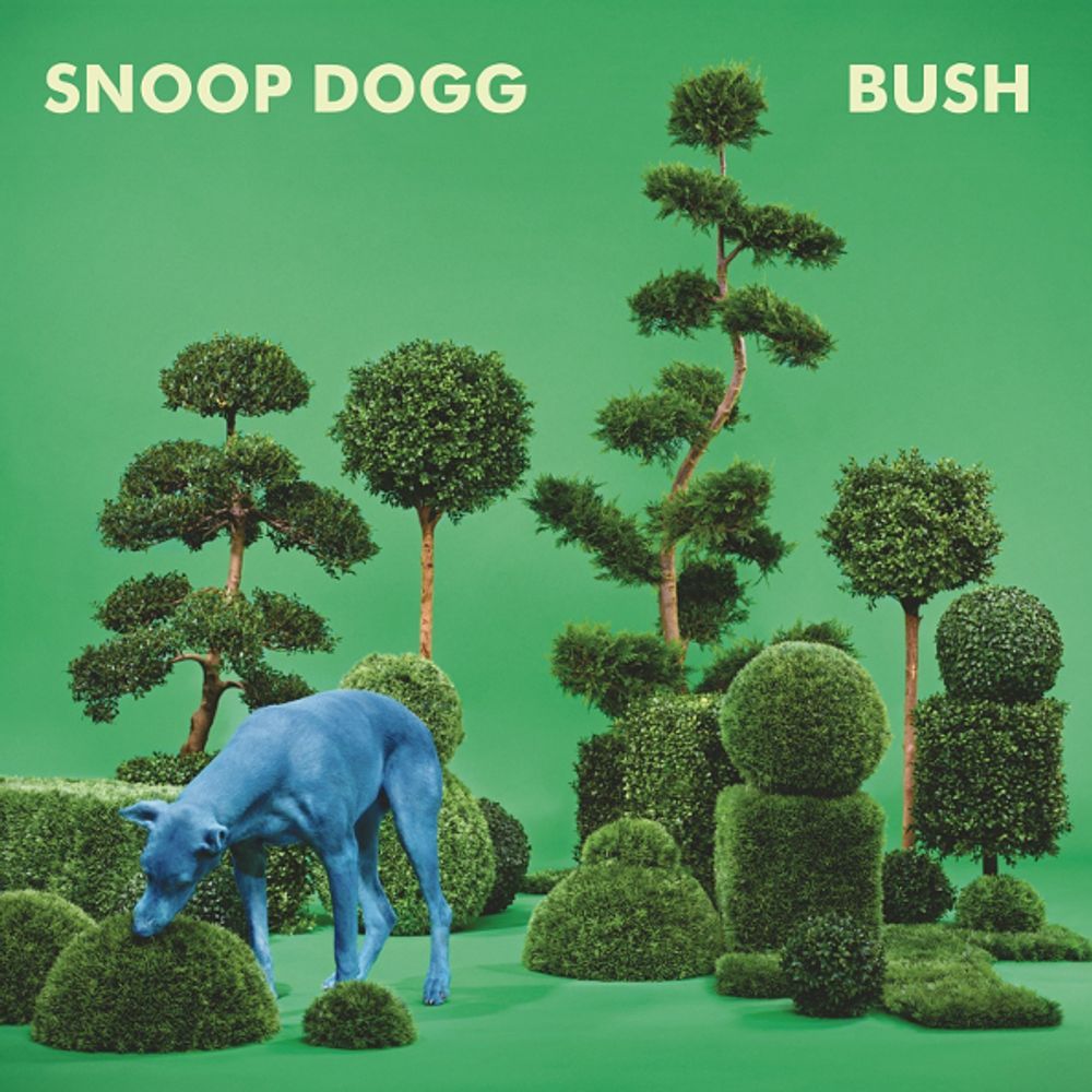 Snoop Dogg / Bush (RU)(CD)