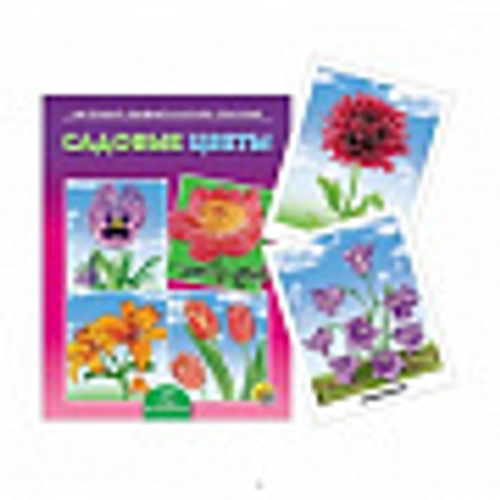 Наглядно-дидактическое пособие "Садовые цветы". 12 карточек. 0+