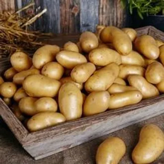 Картофель белый (Азербайджан) / 1 кг