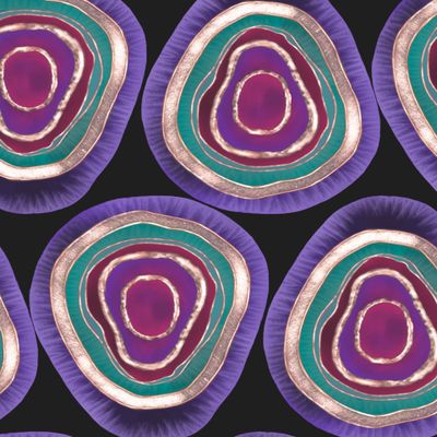 Агатовые срезы на черном фоне, жеода