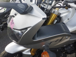 Yamaha FZ1 Fazer , 2006