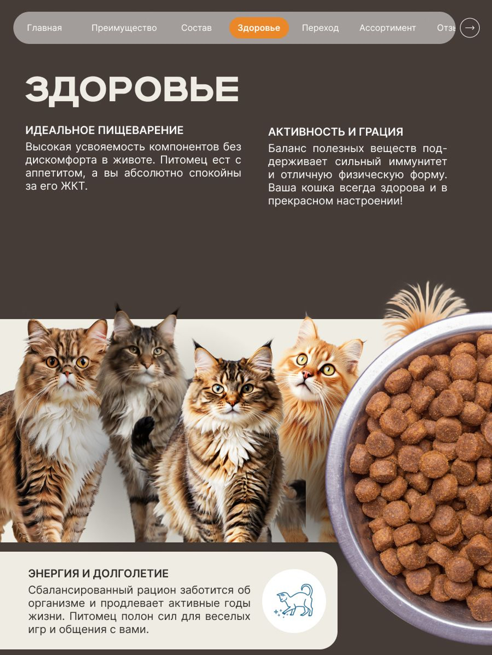 Корм сухой для взрослых стерилизованных кошек породы Мейн-кун, полнорационный комплекс, с индейкой, 400 гр, QUATTRO