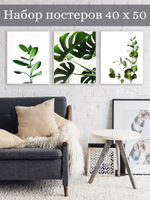 Набор постеров 40х50 растения 3 шт арт 156986686 ТТН 246259226