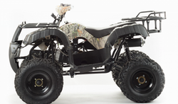 Квадроцикл MOTOLAND (МОТОЛЕНД) 200 ALL ROAD