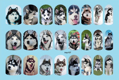 Термопленка ALLURE Арт.tmp107 Набор 24 шт