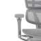 Кресло FALTO Ergohuman Luxury 2 с подножкой ( серый каркас /сетка светлаяT-168-B2 Natural)