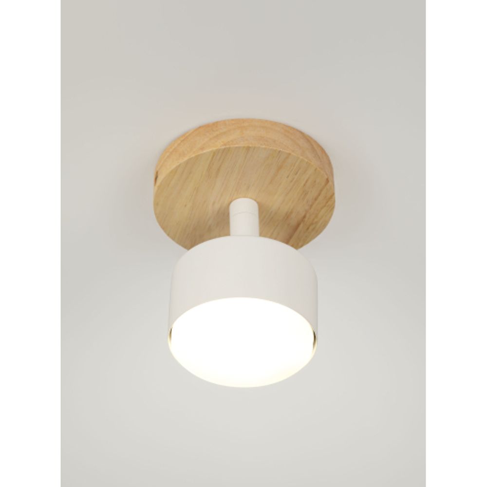 Светильник настенно-потолочный спот Rivoli   7078-701 1хGX53 15 Вт поворотный