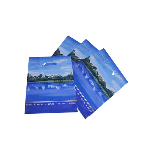 Пакет ВУР 31х40 60 мкм Озеро/500