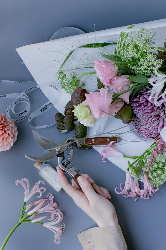 Секатор профессиональный