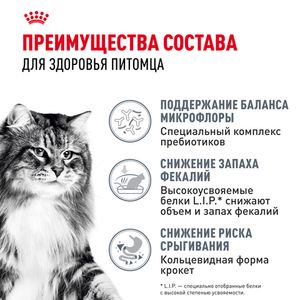 Сухой корм Royal Canin Digestive Care для взрослых кошек для поддержания здоровья пищеварительной системы