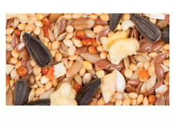 Содержимое