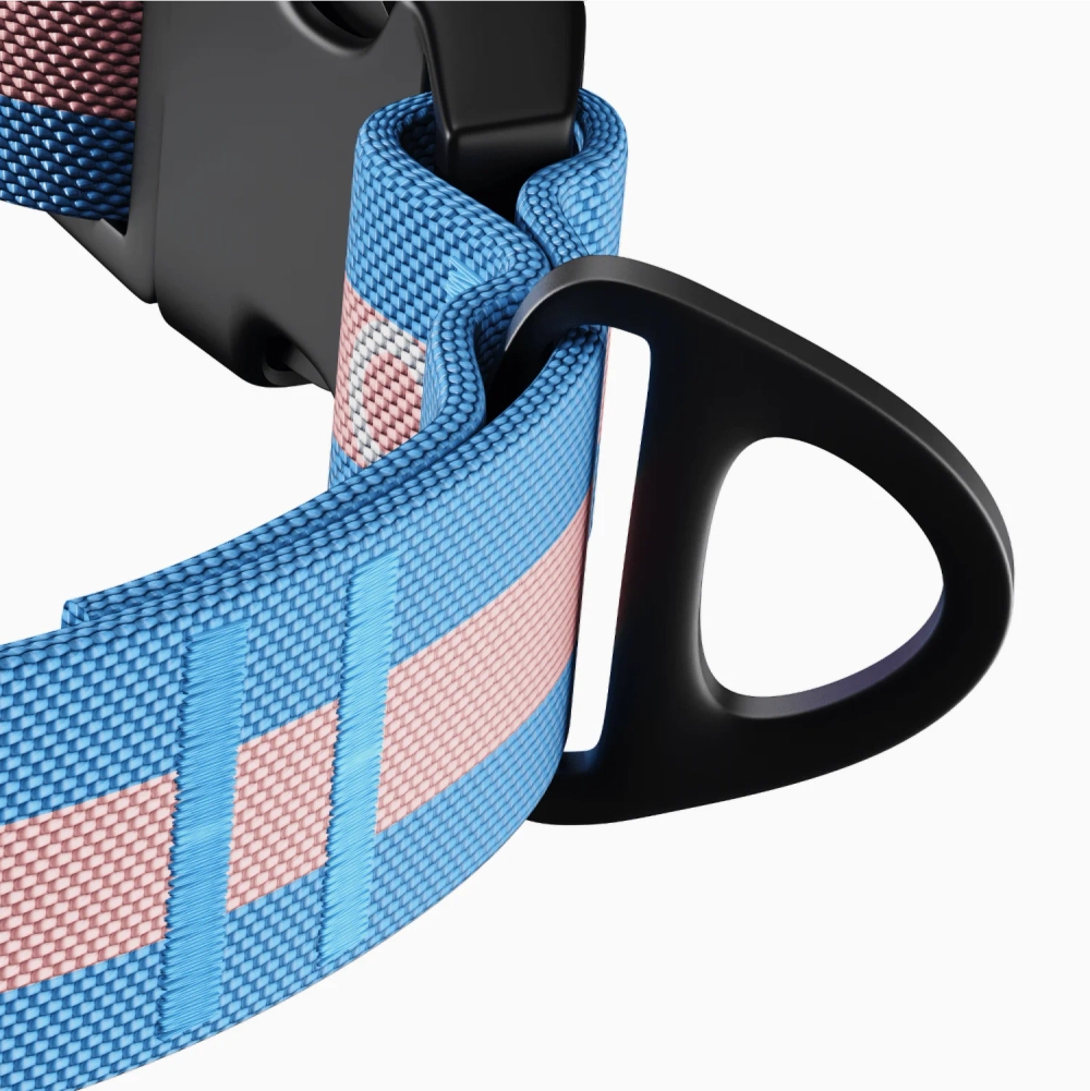 Ошейник Stripes