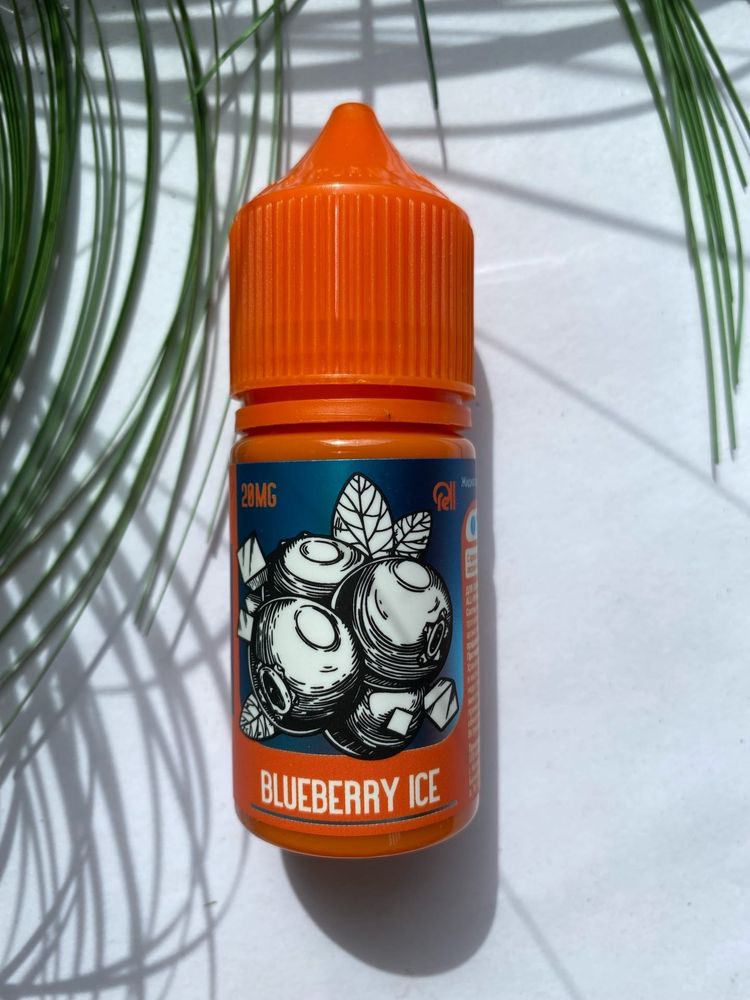 Blueberry Ice by RELL Salt 30мл