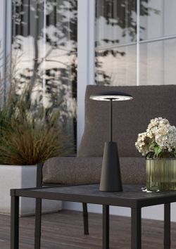 Настольная лампа декоративная Eglo PICCOLA 900925