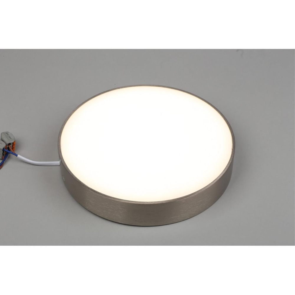 Потолочный светодиодный светильник Aployt Evon APL.0114.19.24