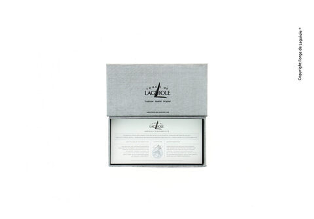 Folding knife, 11 cm blade, 2 stainless steel bolsters, shiny finish, acrylic handle, Vega design