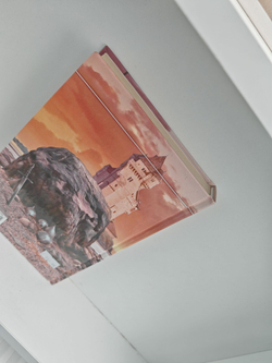 Дариус Дорван. Наемник