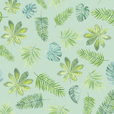 Tropics_1