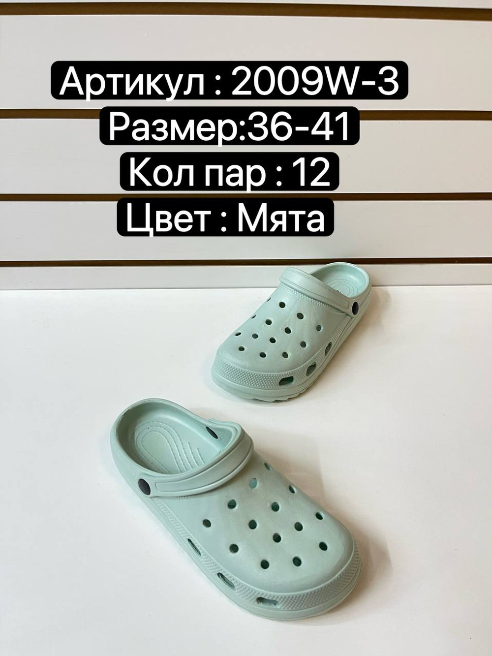 Сабо по 12 пар (36-41)р. 2009W-3
