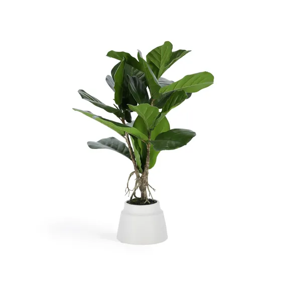 Искусственное растение Lyrata 60 см