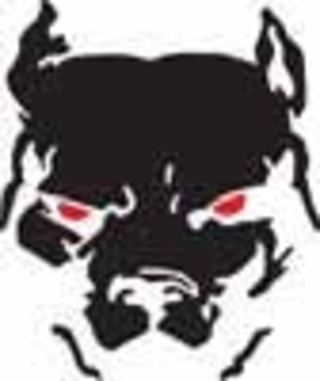 Наклейка "Питбуль (негатив)" 15*15см  08088