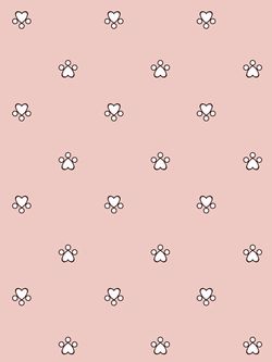 Наволочка комплект 2шт перкаль Сказка "Котики (комп)" 50x70 см на молнии