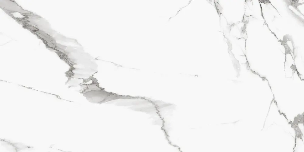 Керамогранит Royce Segesta Grey Polished 60x120 см (R_PR2004)