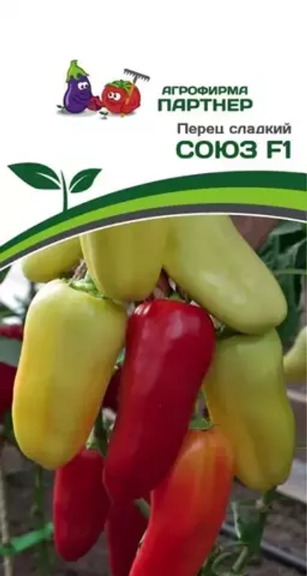 ПЕРЕЦ СОЮЗ F1 (ПАРТНЕР)