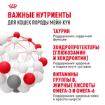 Royal Canin Maine Coon Adult Корм консервированный для взрослых кошек породы Мэйн Кун соус 85г