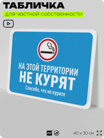Табличка для частной территории "На этой территории не курят", на дом, для участка, организаций, предупреждающая, 40х30 см, Silver Plane x Айдентика Технолоджи