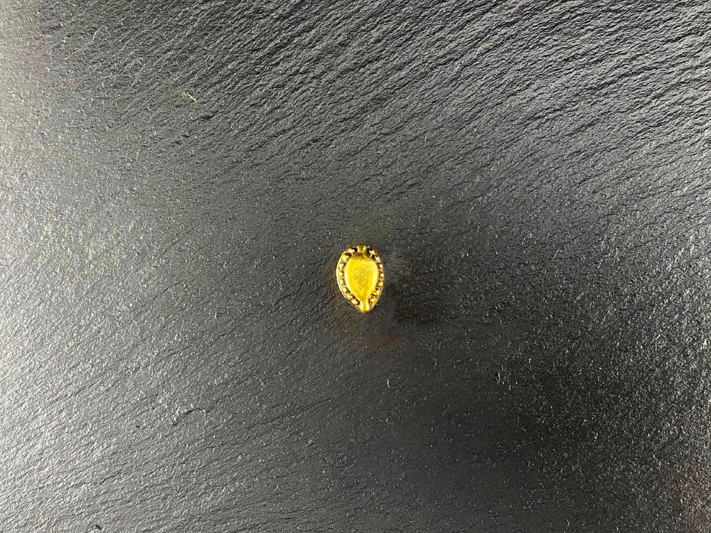 Русь, Торопец 10-11 в.