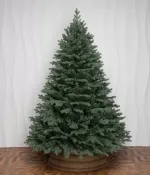 голубая елка искусственная "Балтийская"