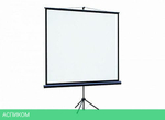 Проекционный экран Lumien Eco View (LEV-100109)