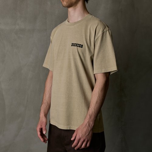 Футболка мужская Dickies Darrtown Short Sleeve Tee 