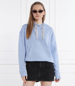 Худи Tommy Jeans - голубой(DW0DW17794)